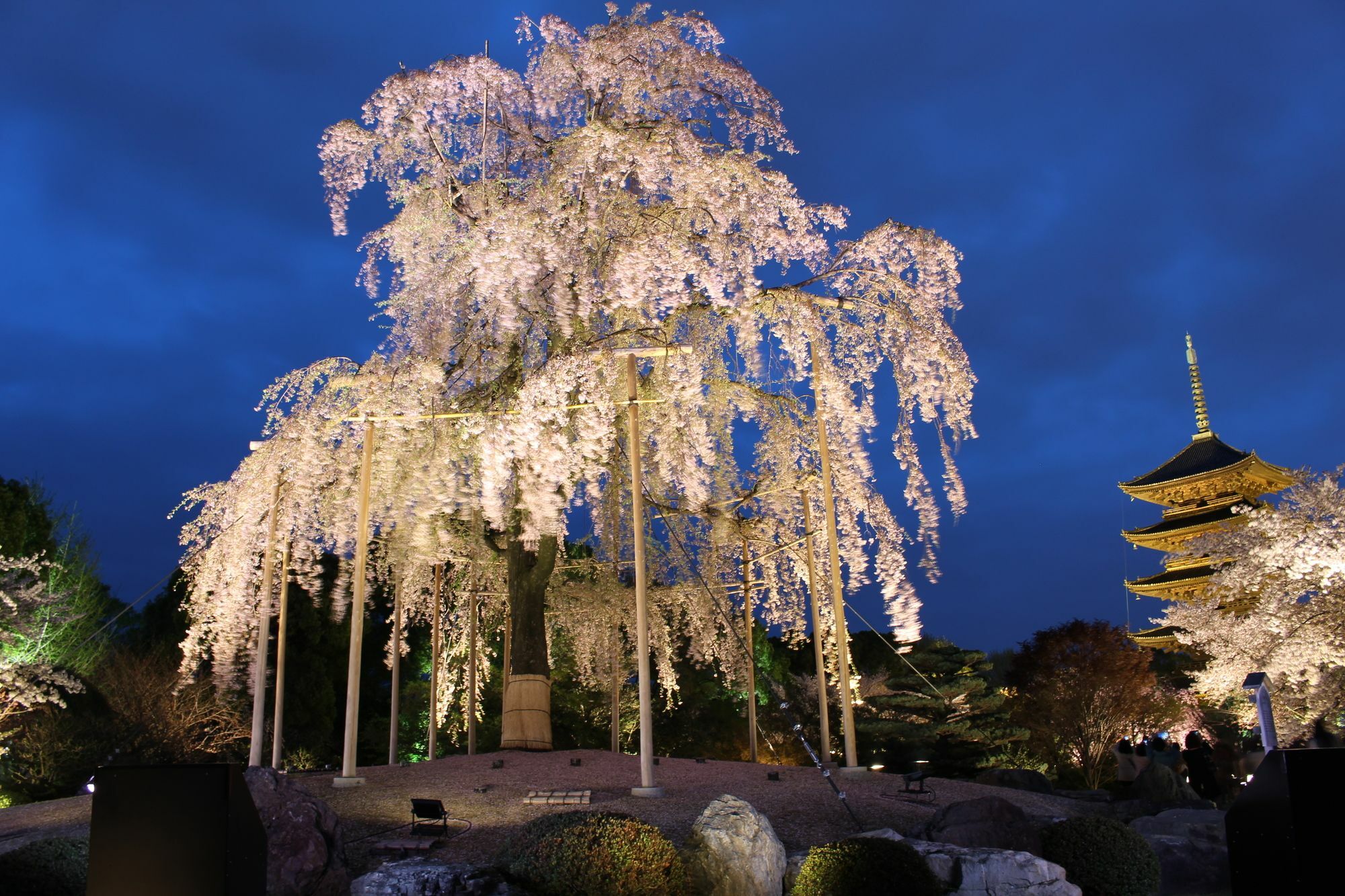 Stay Sakura Kyoto Toji South I ภายนอก รูปภาพ